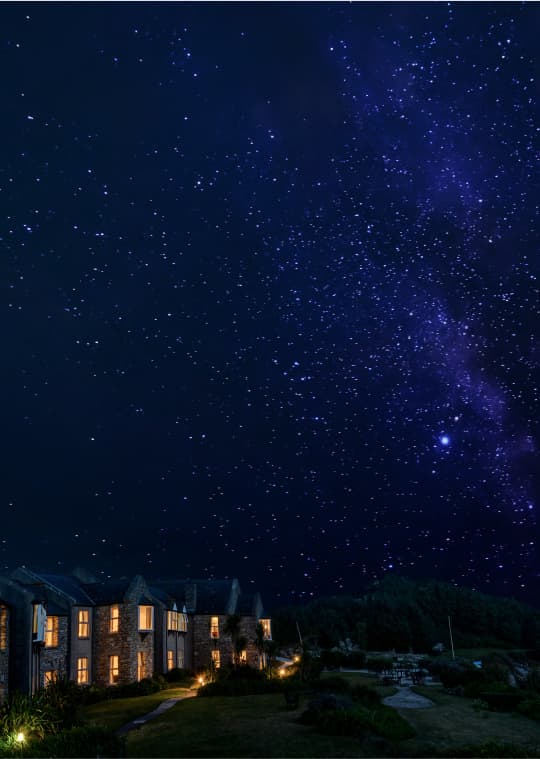 Starry Nights